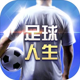 彩皇网下载安装手机版