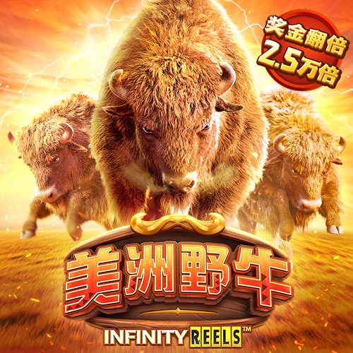 ayx手机版登录(综合)